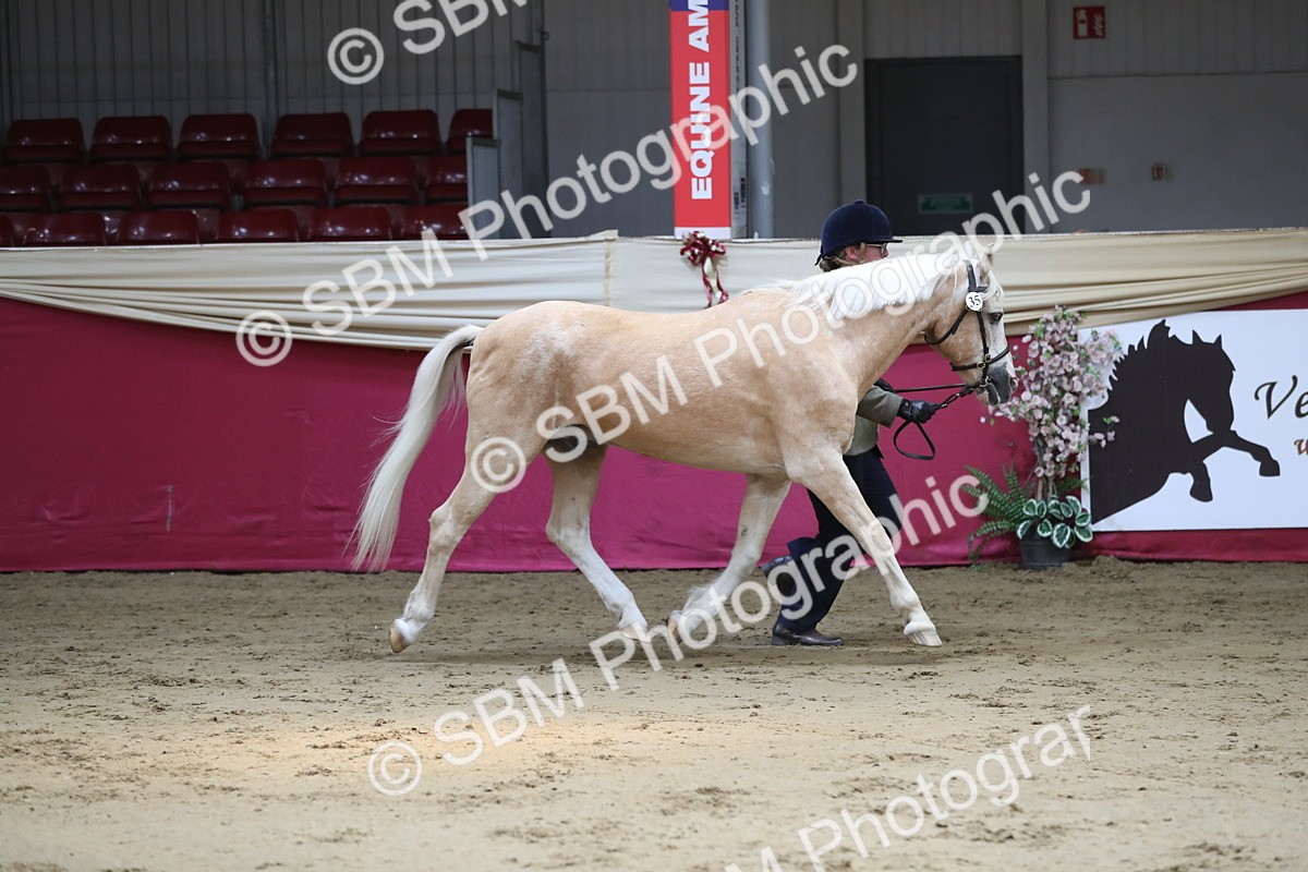 SBM_04384 - Class 7R Regional - IH Diamond