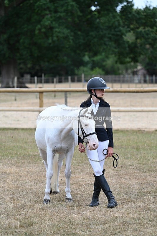 WJ7_8191 - Class 4 Prettiest Mare up to 14.2hh