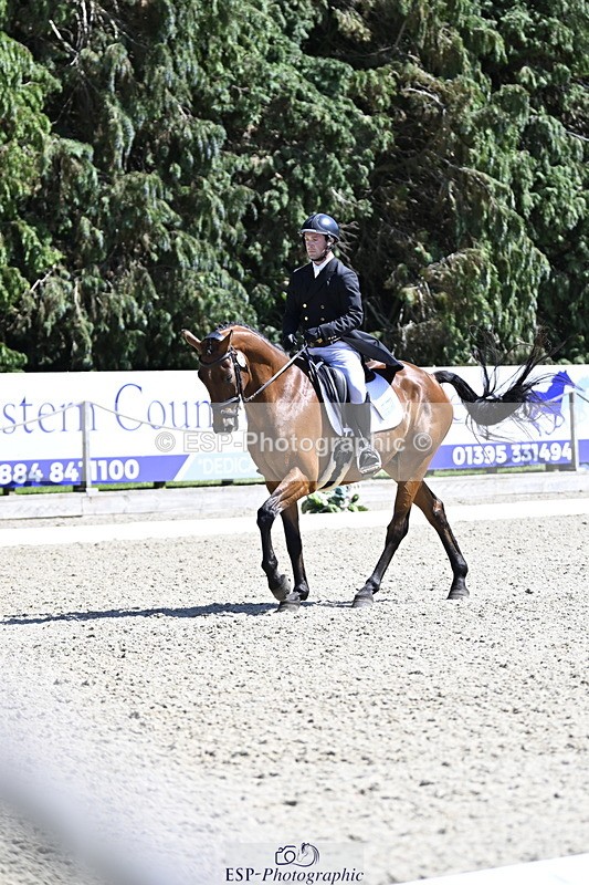 250522A-151019-03797 - D-414-Rupert.Batting-COOMBELAND.SEMILLY