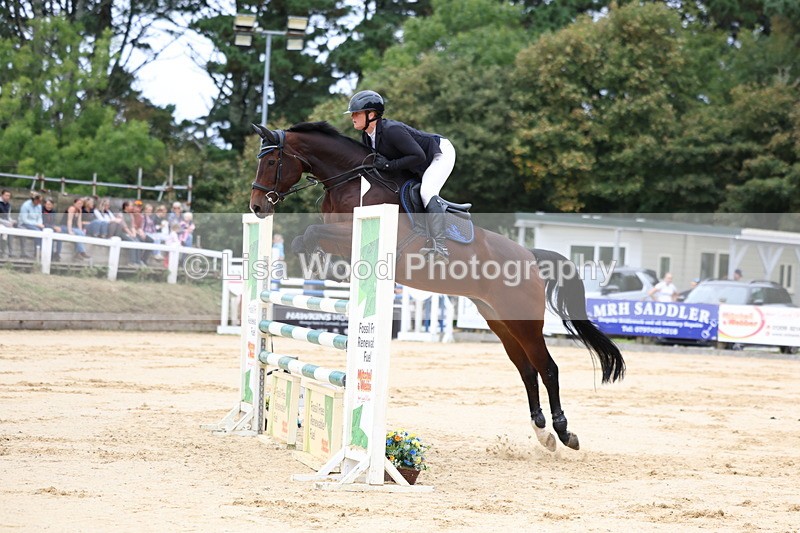3E7A3382 - Class 9: Senior Foxhunter/1.20 open