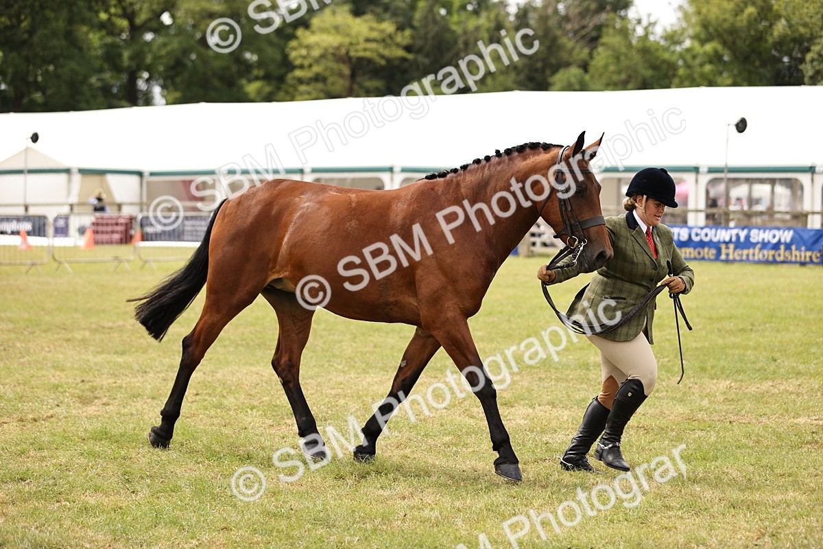 SBM_14621 - Class 88-89 - LIHS BSHA Rising Star of Ridden Hunter Type
