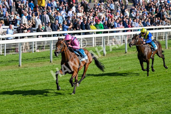 160525-Race 6-Bowmark-7161 - Race 6 4.55pm Darley EBF 'Confined' Novice Stakes