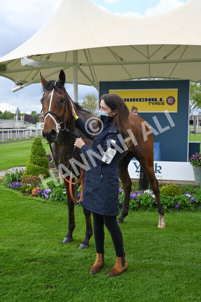 yr22052021r6-50 - Race 6 4.55pm Reg Bond