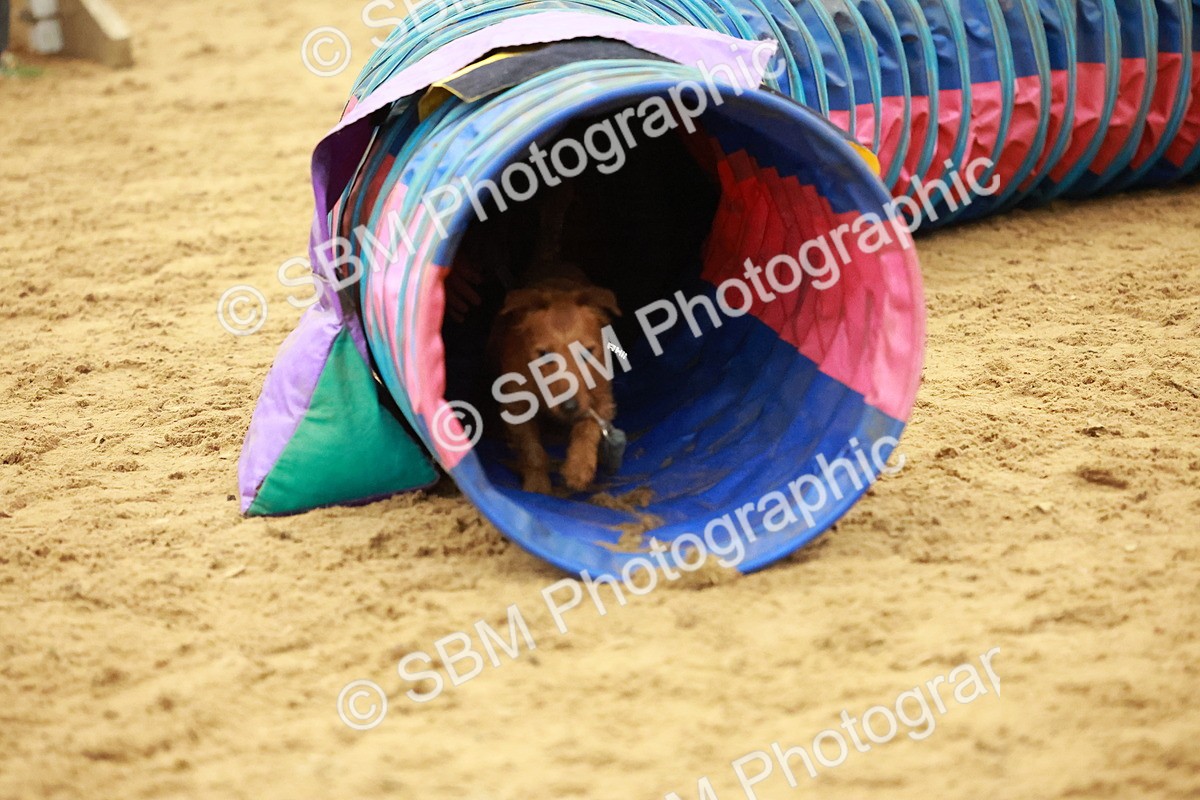 SBM_001785 - Class 3 - Horse & Hound (60cm)