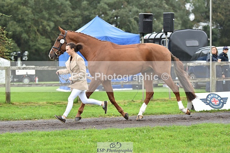 231018-123858-00424 - 051-VITAL.DK.Z-Isny.O'Donnell-TrotUp