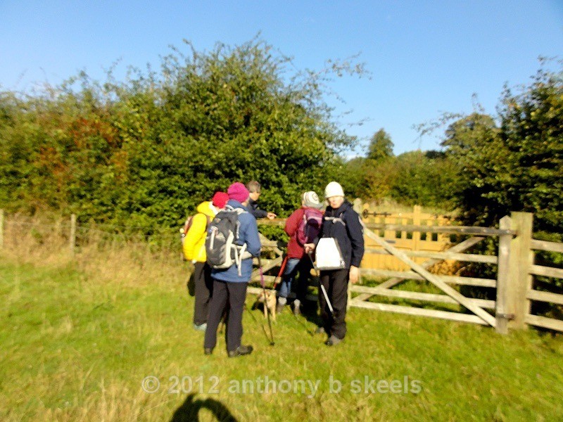 095 Regrouping at the Estate cemetry - York Minster Walkers Collection 2024