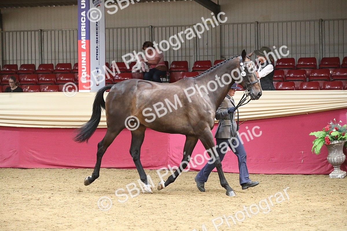 SBM_05479 - Class 9R - Regional IH Pre-Vet