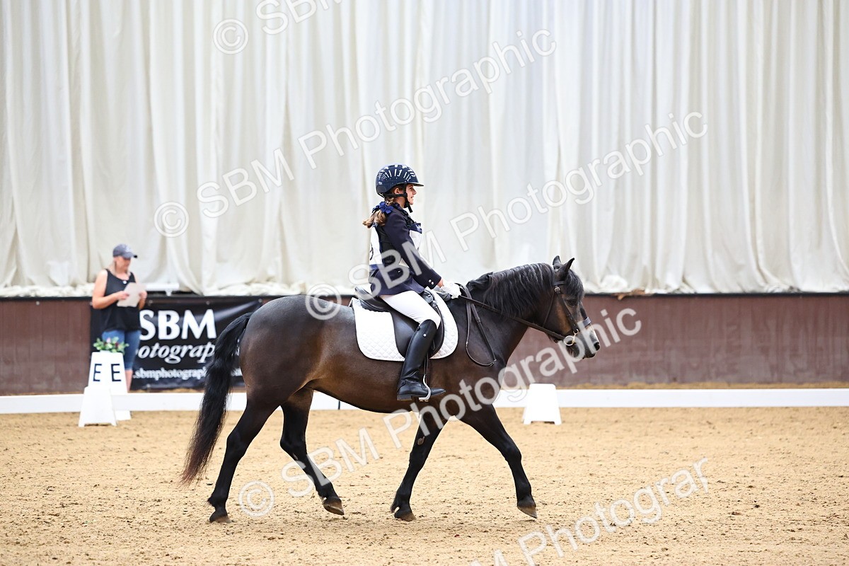 SBM_003391 - Intro 2