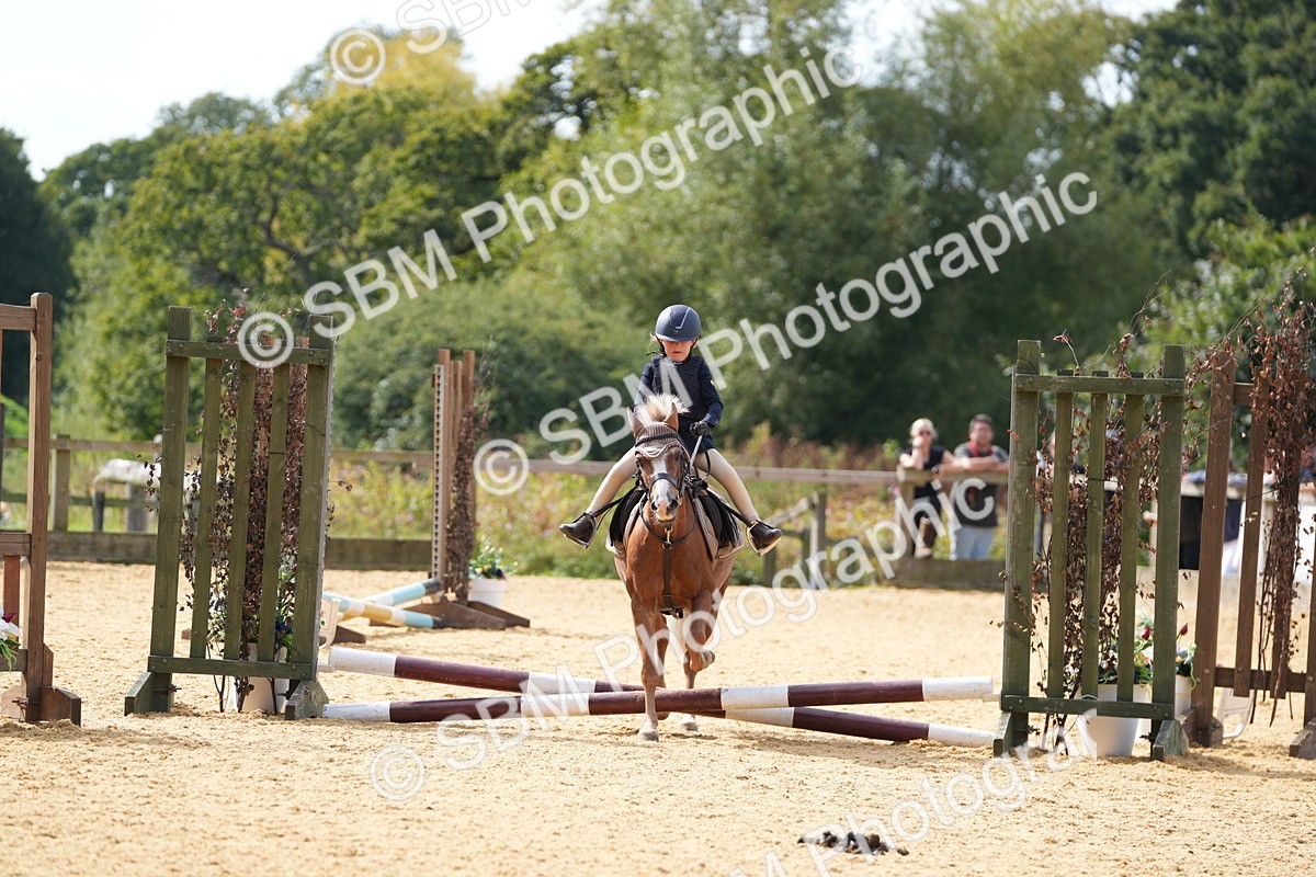 SBM_65787 - J2 - Mini Tour Junior Pony 30cm Championship