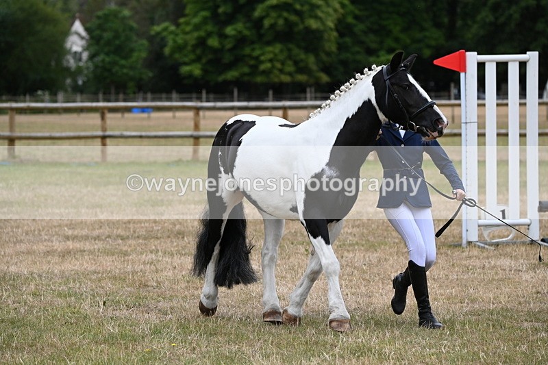 WJ6_4398 - Class 10 Coloured In-hand