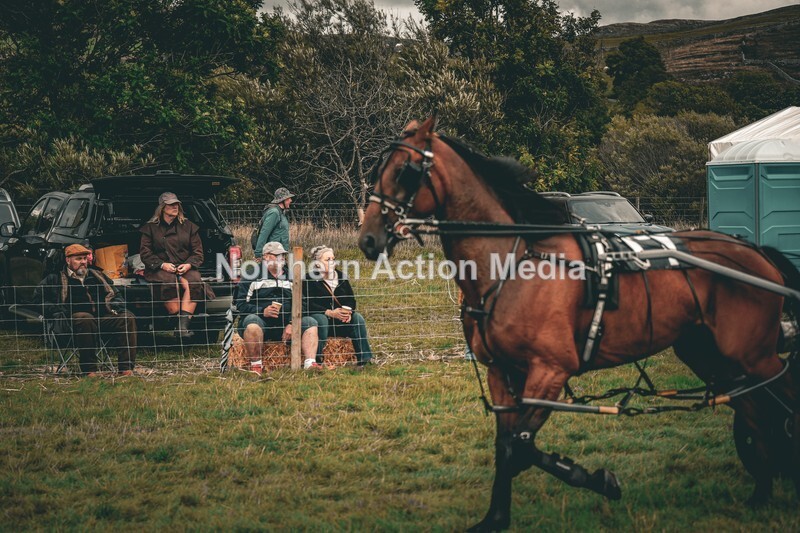 DSCF7375 - Kilnsey Harness racing