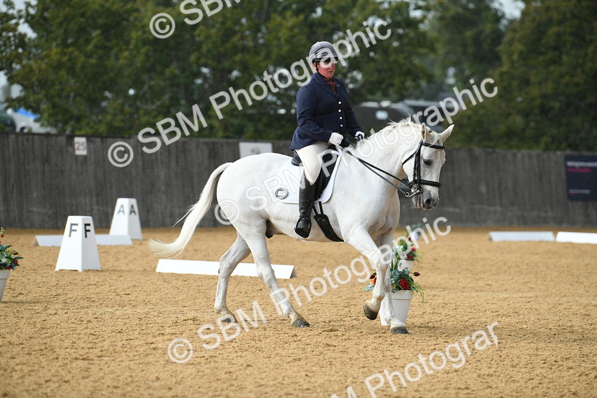 SBM_11119 - D28 Elementary Taster Elementary 42