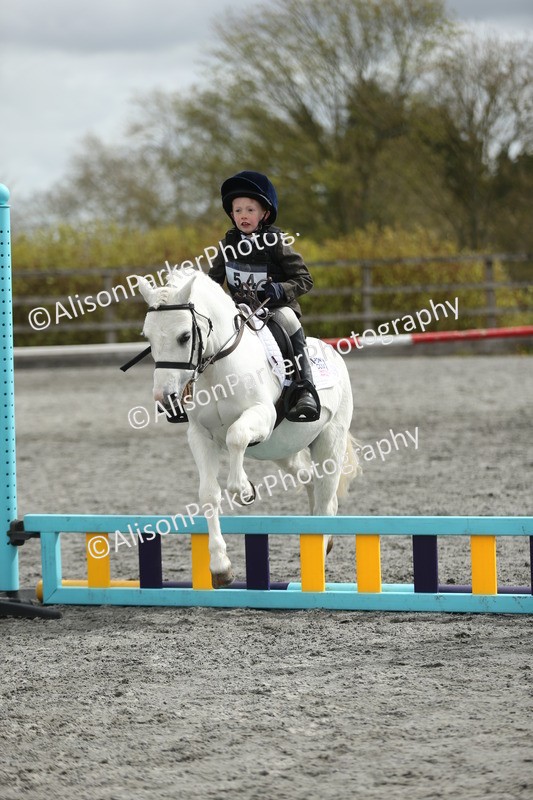 20260412-0710 - Show Jumping