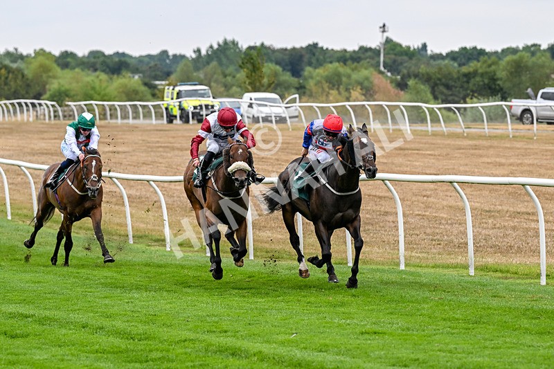 170826-Race 3-Quercus-9339 - Race 3 15.15pm Chapman Milestones Celebration, Thank You NHS Handicap