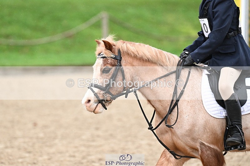 260222A-093516-00150 - 40cm Lead Rein and Assisted