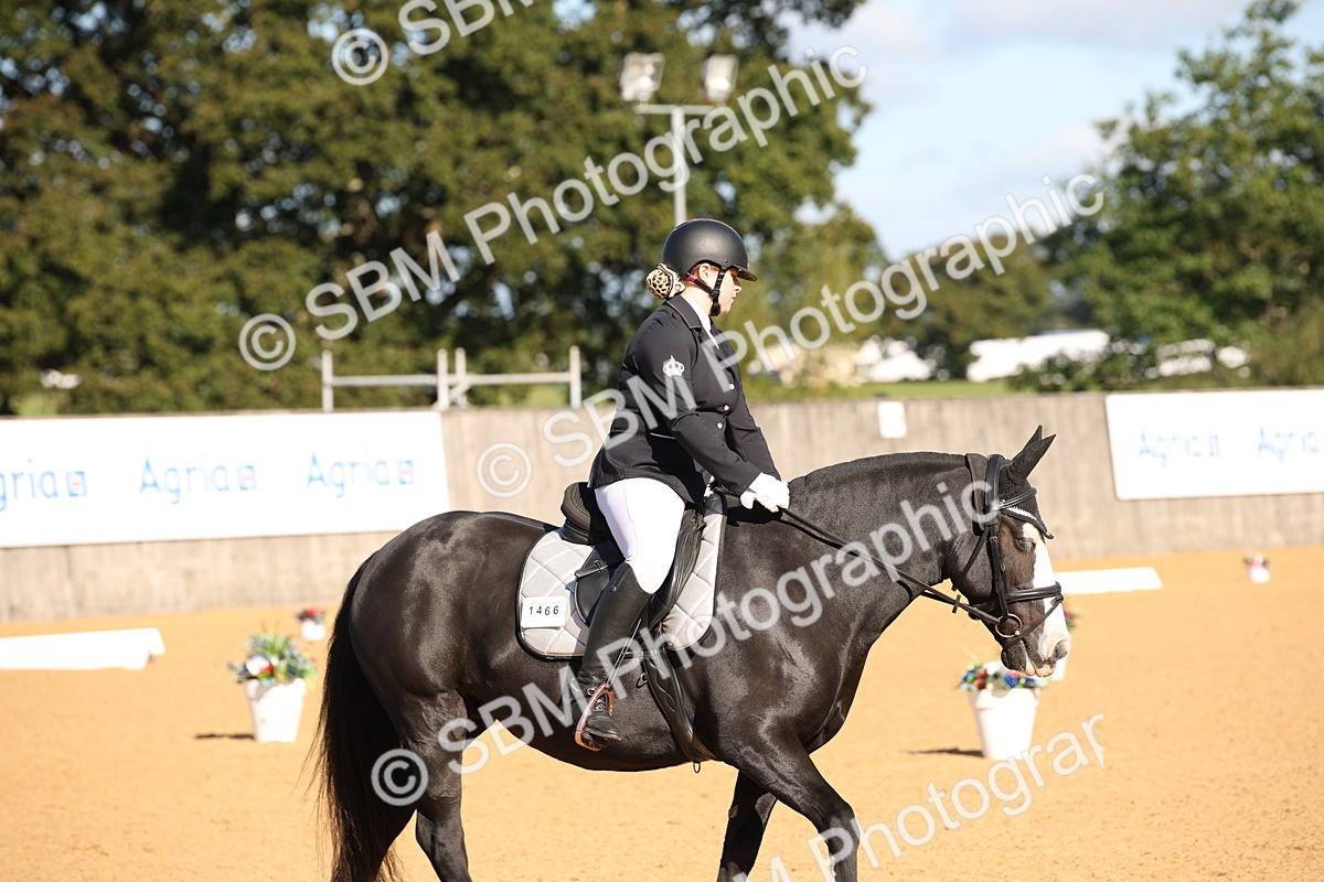 SBM_01927 - D2 Small Tour Championship Intro C