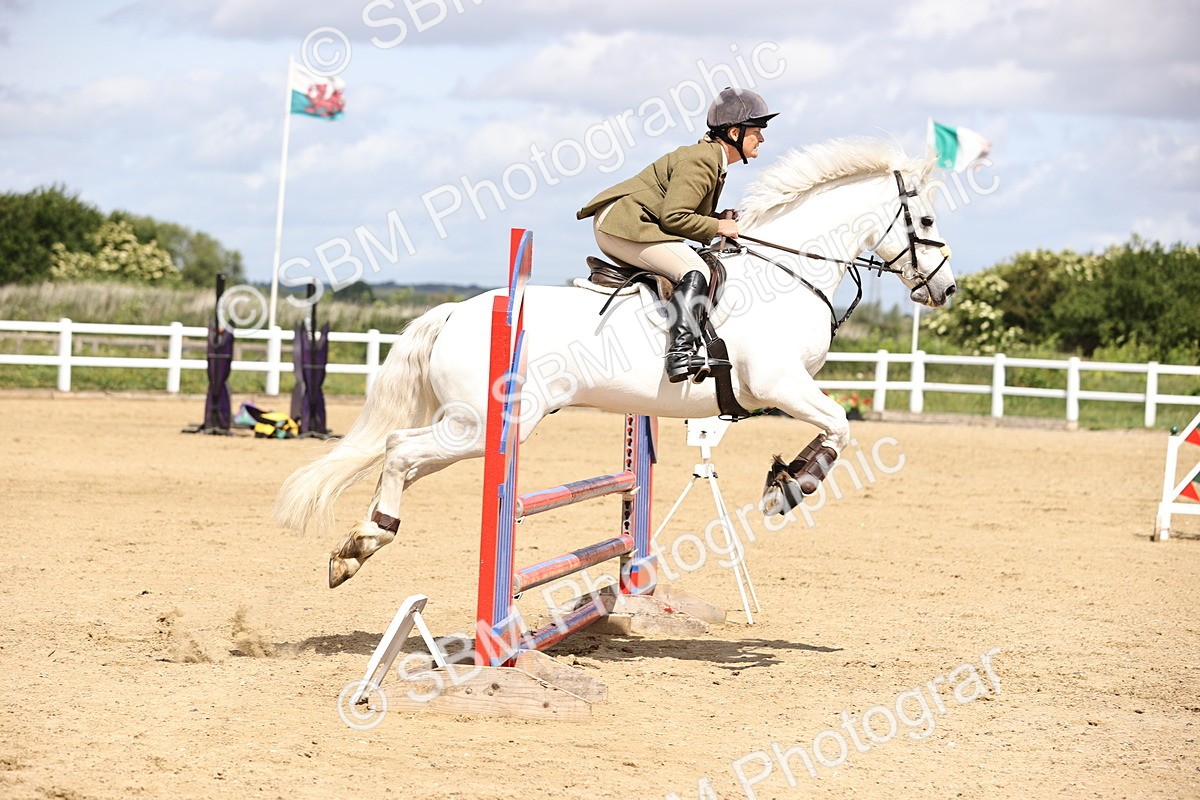 SBM_007271 - Class 2 - 80cm showjumping