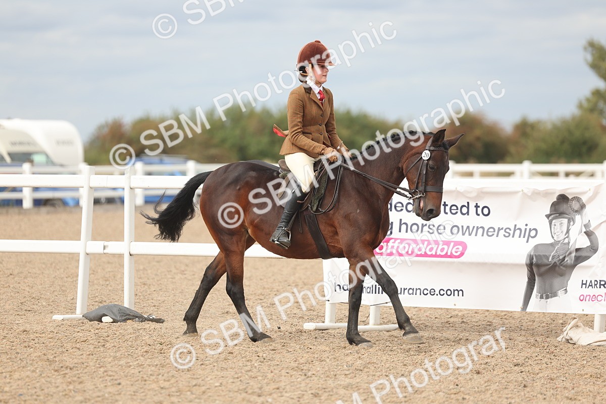 SBM_17994 - Class 314 - Family Horse Pony