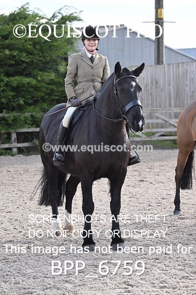 BPP_6759 - RING 1  (RIDDEN HORSES / IN HAND / VETERAN ETC)