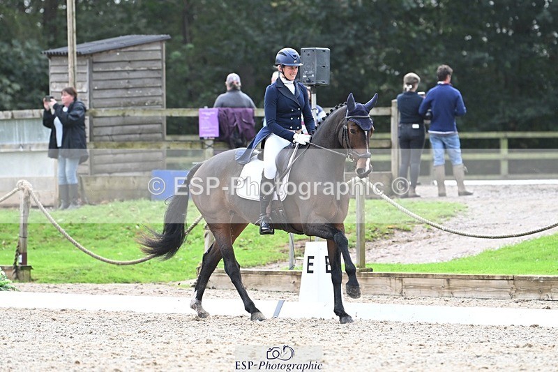 231019-145351-04307 - 057-OVERTON.TILANA'S.GOLD-Claire.Deuten-DR