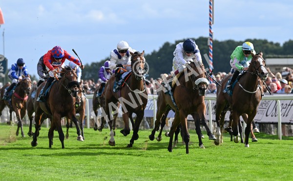210825-199 Stellar Sunrise - Race 6 4.45pm Mews Hotel Ossett EBF Stallions Nursery Handicap