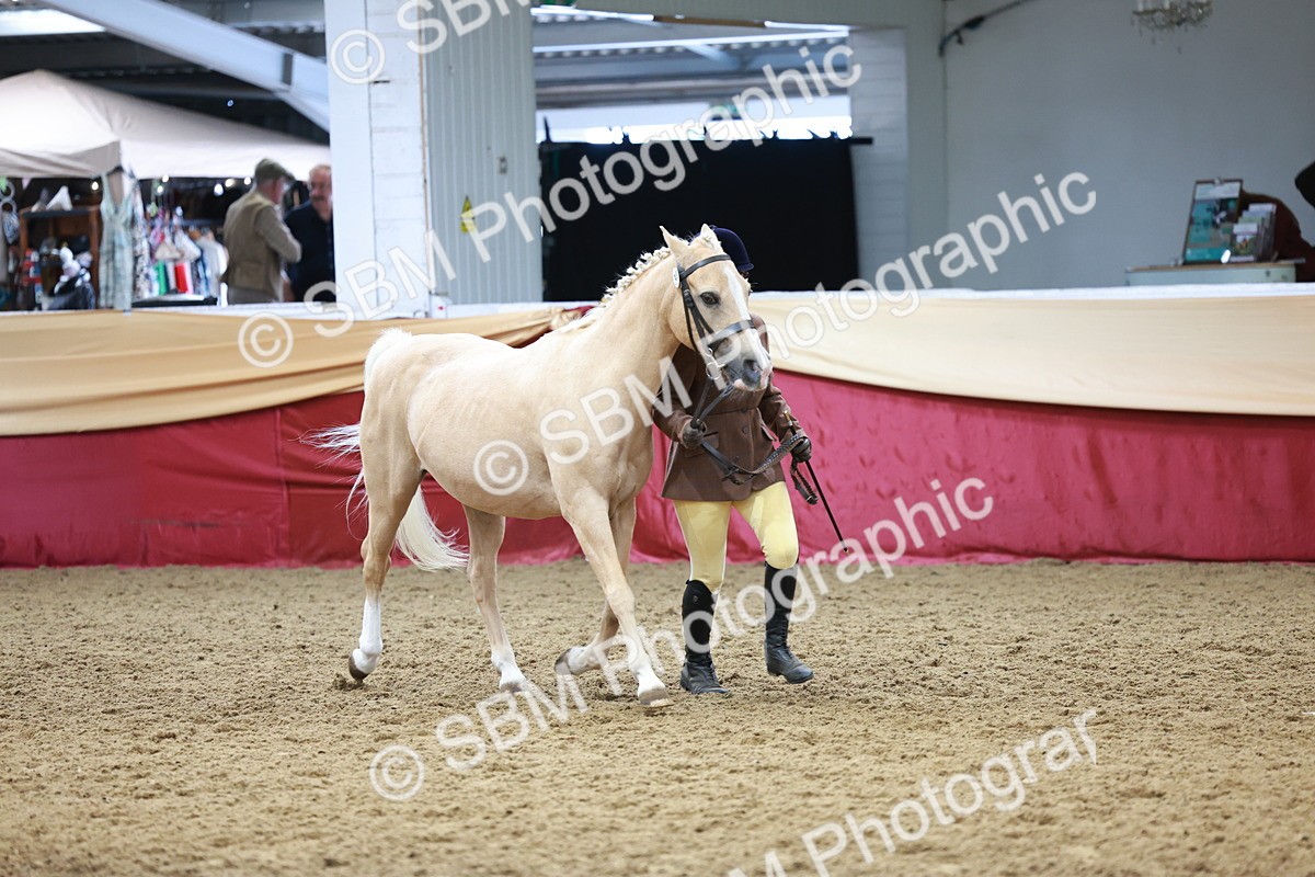 SBM_17458 - Class 951 - M&M IH Supreme Final