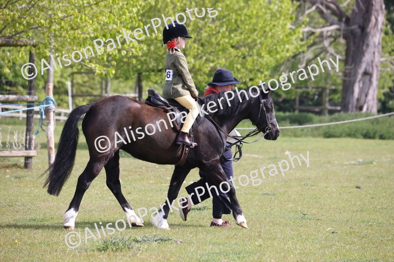 20260426-0587 - Class 31 - Leading Rein