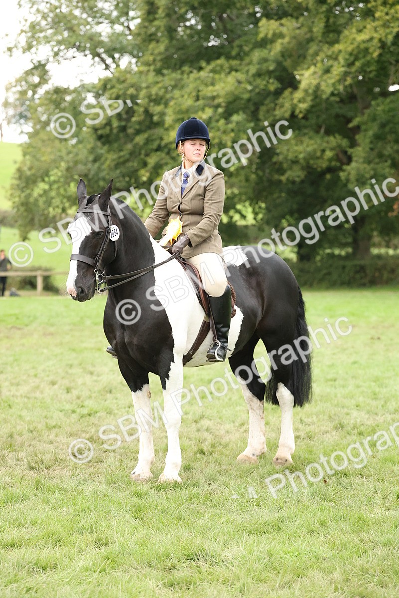 SBM_67320 - S67 - Piebald & Skewbald Horse Ridden