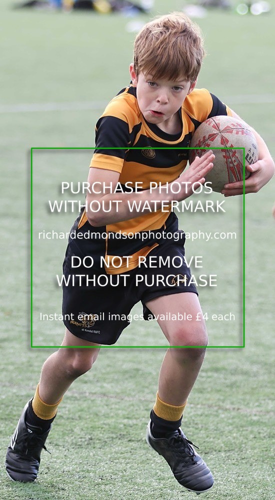 533A2222 - Kendal Rugby Juniors U10 vs Keswick Rugby Juniors U10 (2/11/25)