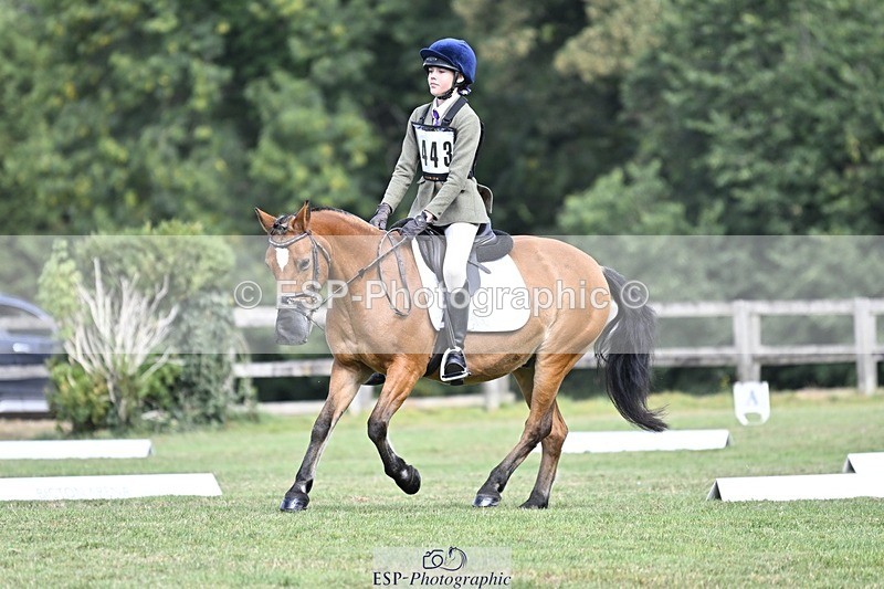 250821A-102936-14379 - DR 10.00 to 11.00