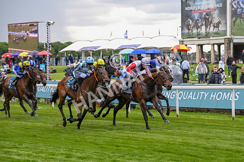 140526-Race 3-Maybe Not-4900 - Race 3 2.55pm Oakmere Homes Hambleton Handicap
