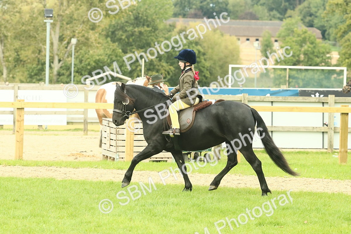 SBM_69968 - S59 - Mountain & Moorland Ridden Small Breeds