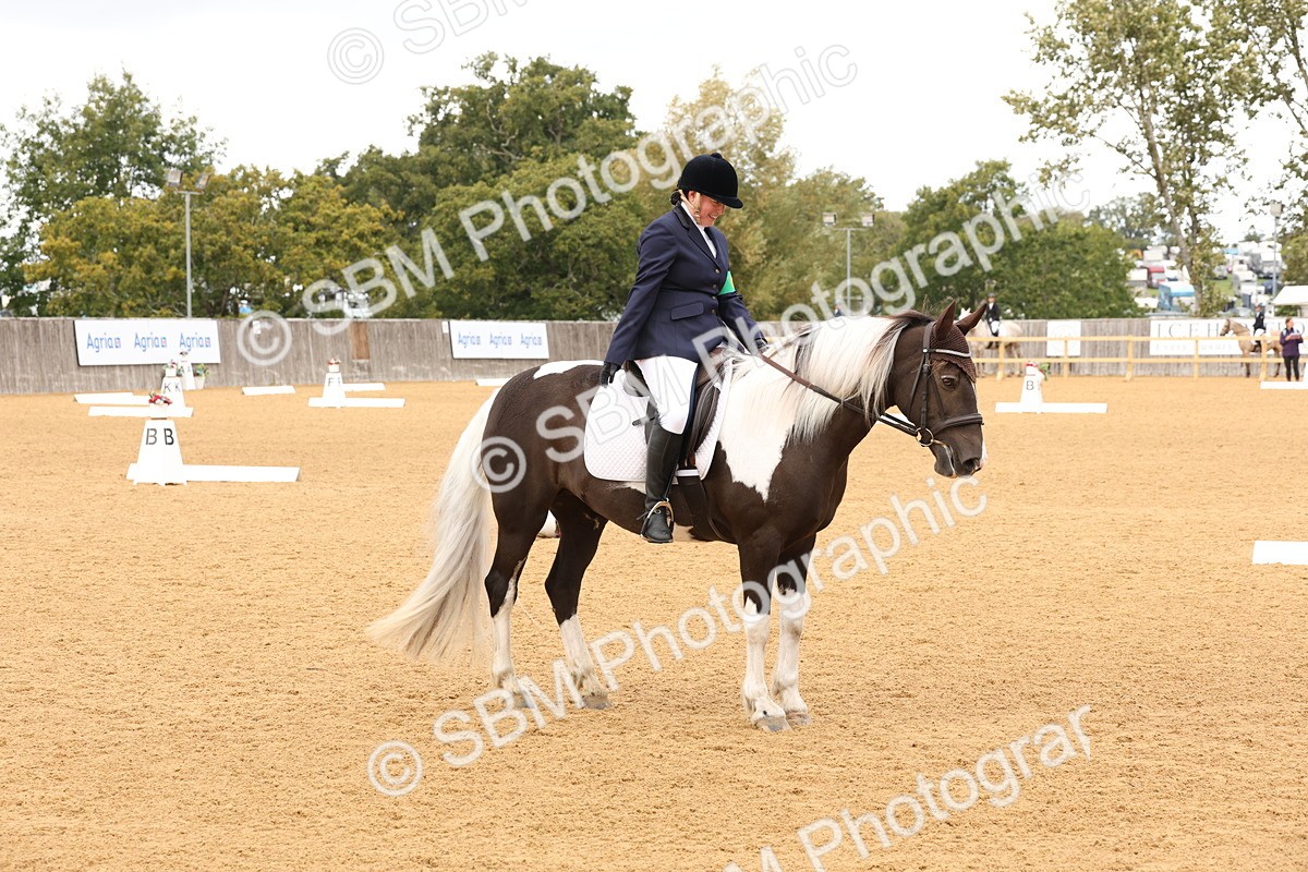 SBM_20299 - D10 - Small Tour Championship Prelim 2