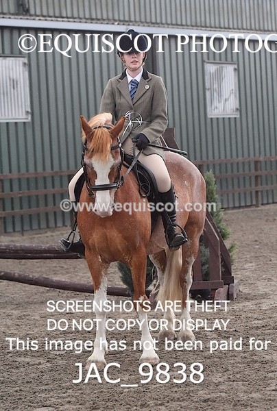 JAC_9838 - CLASS 2 Novice Working Hunter (0.60m - 0.70m)