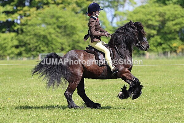 IMG_4396 - Working Hunter