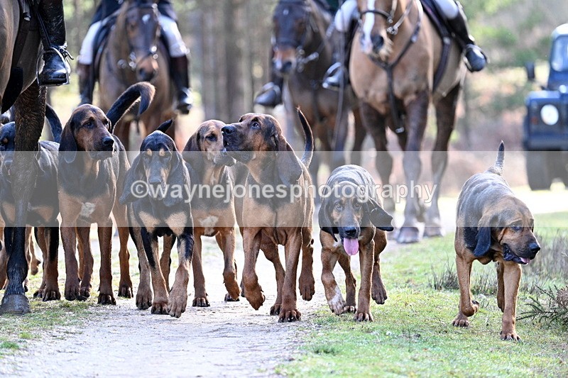 WJ7_7692 - Line 3 (no line 4 or 5)