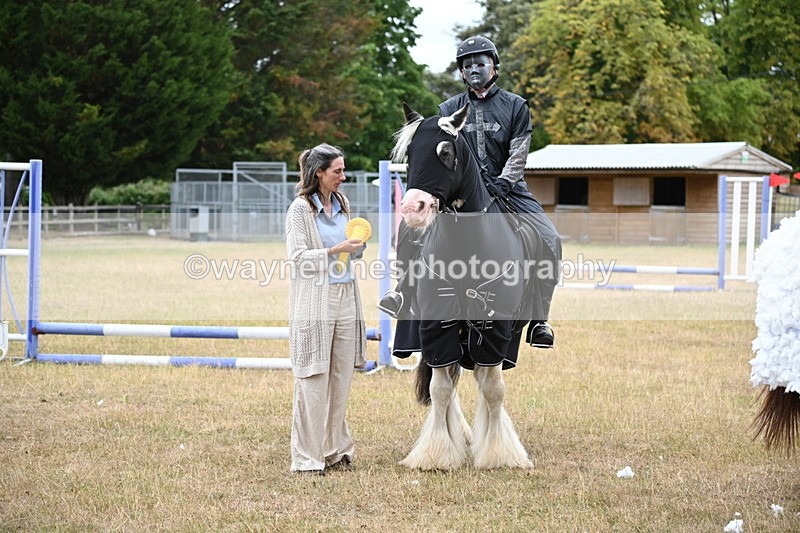 WJ6_9034 - Class 11 Fancy Dress