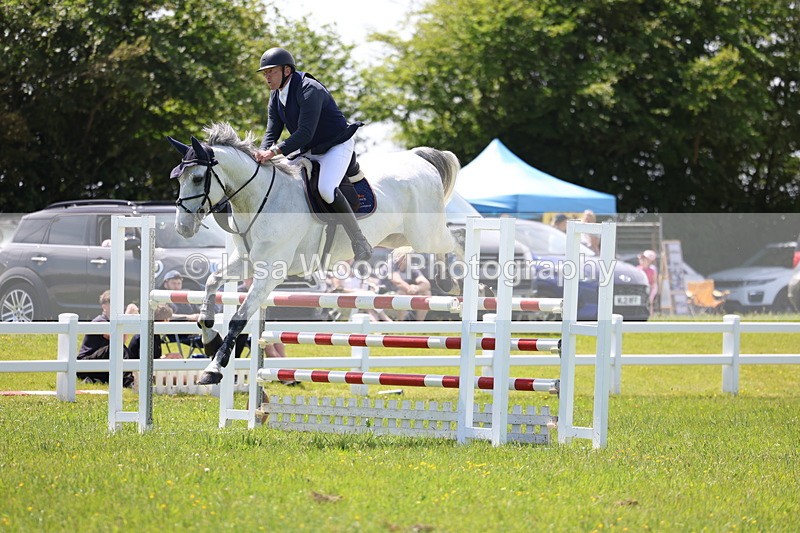 3E7A1293 - Class 12: Senior Foxhunter/1.20 open