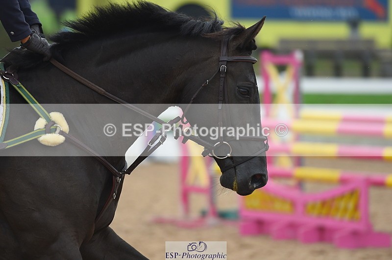 230916A-152256-04679 - Cls 25 1.10m Amateur Qualifier