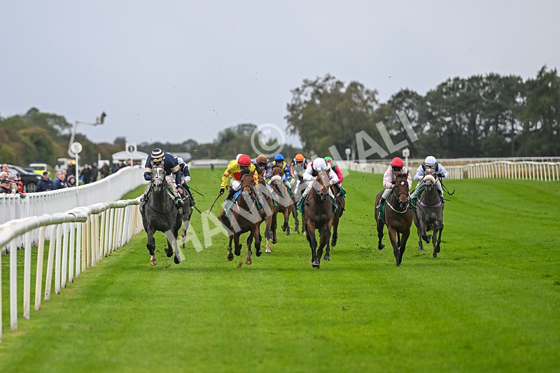 150925-Race 2-Rum Therapy-2355 - Race 2