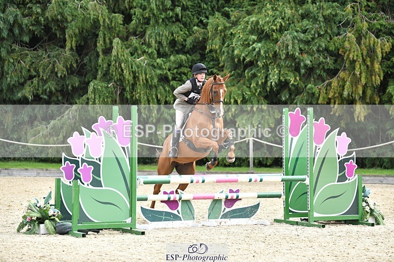 230827-114631-24188 - SJ 11.30 to End