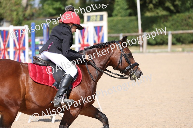 20250810-0653 - Class 3 - 60cm