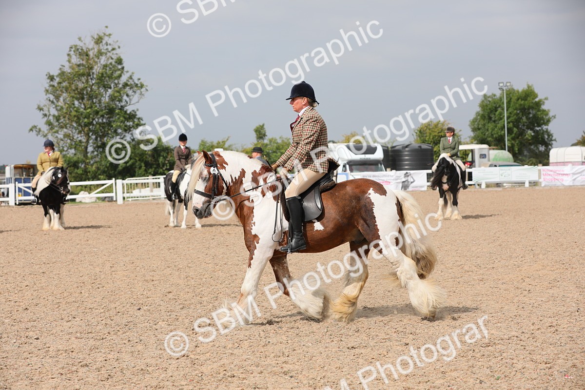 SBM_12772 - Class 307 Ridden Coloured Pony