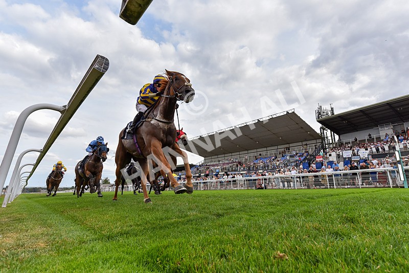 280726-Race 6-Azuinthejungle-4455 - Race 6 16.30pm It's Ladies Day Next On 12 August Handicap