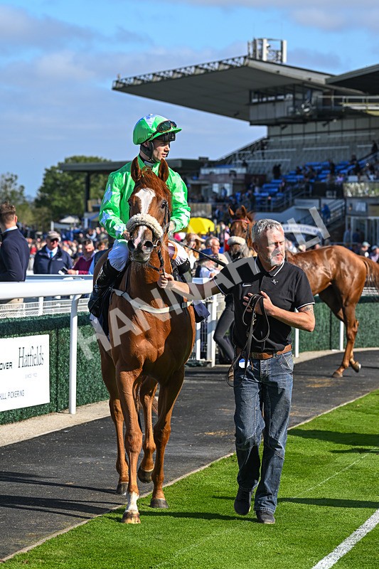 180924-Race 3-Beaujolais Nouveau-4275 - Race 3