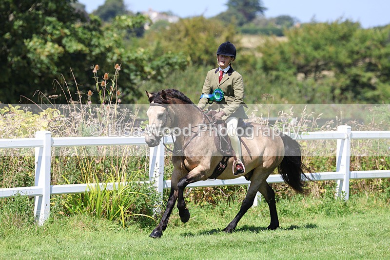 3E7A9214 - Working Hunter Championship