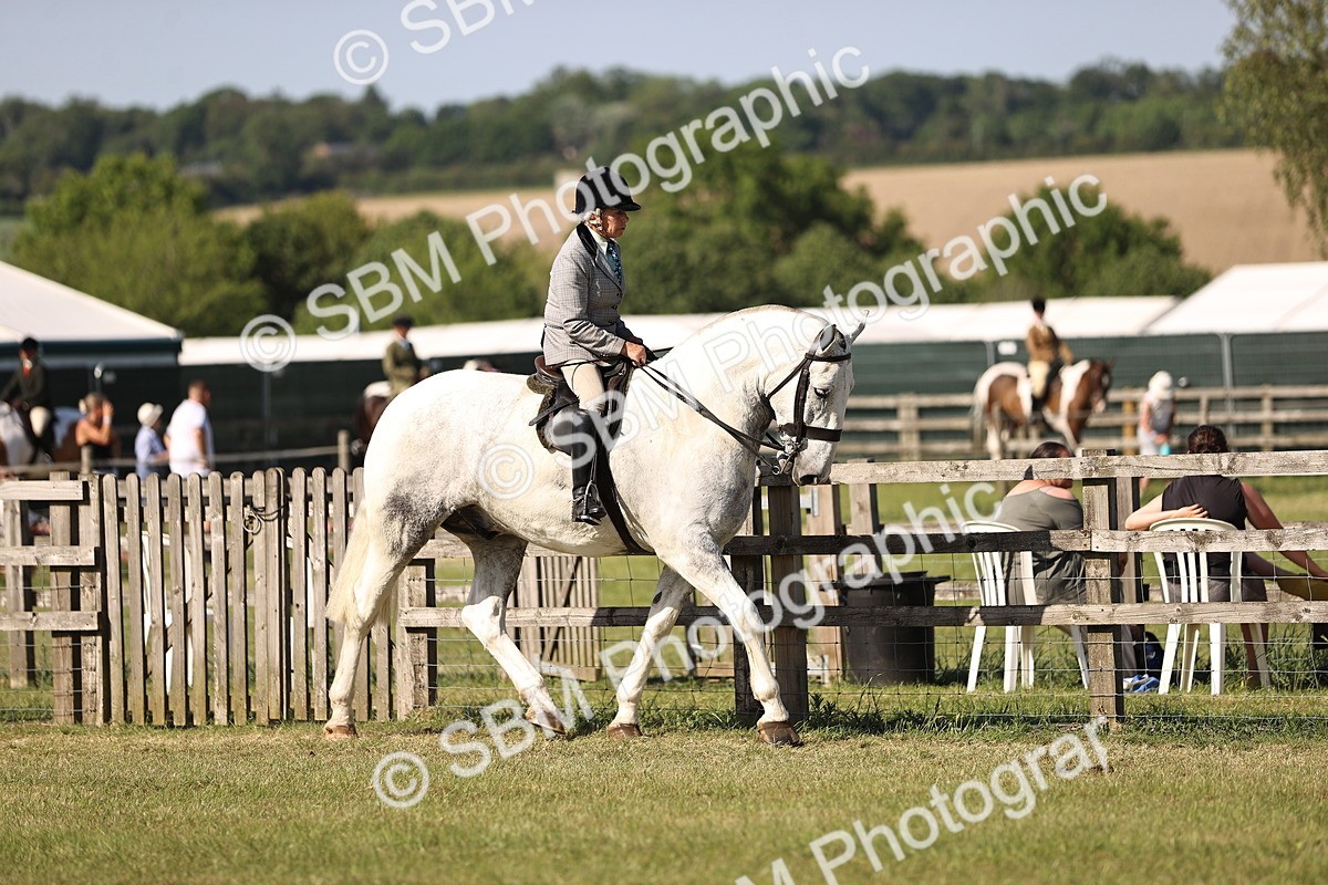 SBM_19603 - Class 87-88 - RIHS BSHA Riding Horses