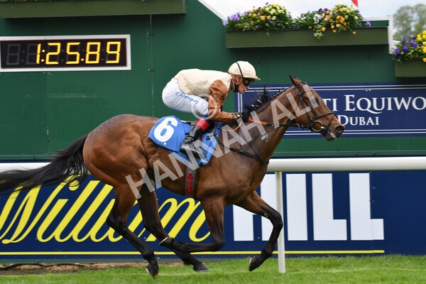 yr22052021r1-28 - Race 1 2.05pm William Hill Pick Your Places Stakes