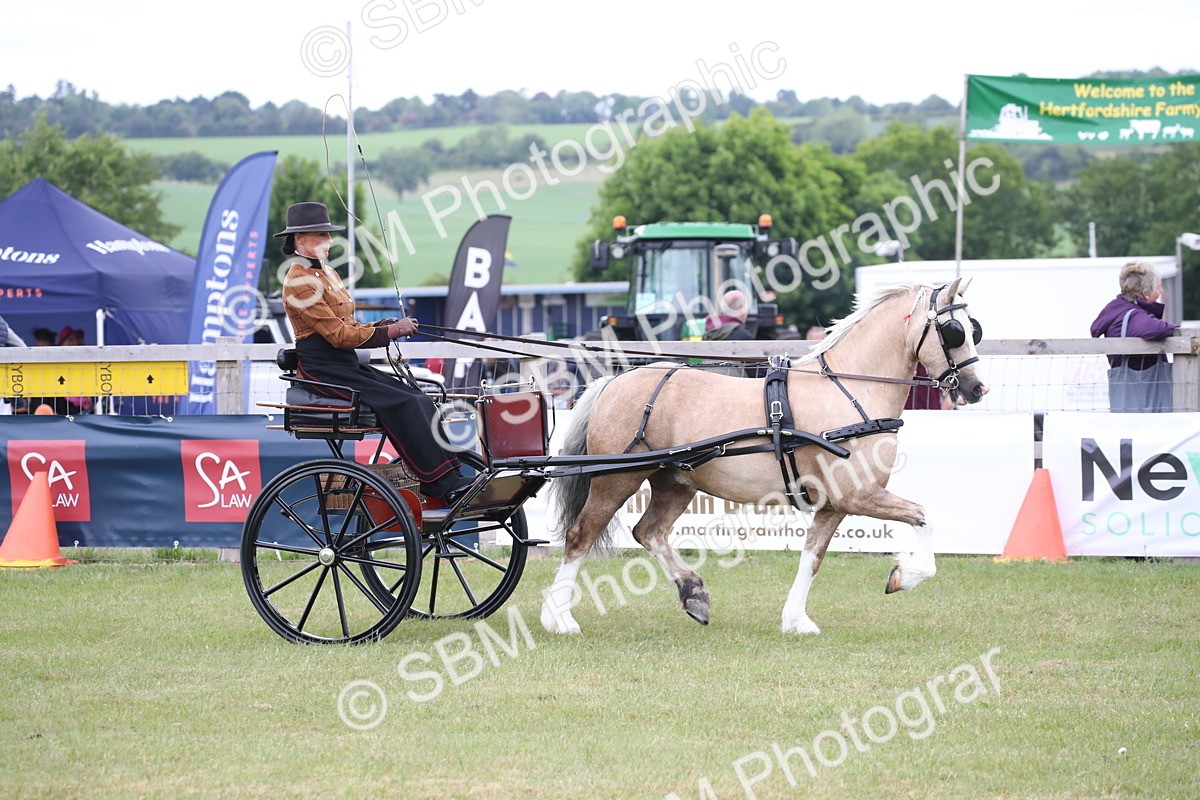 SBM_05701 - Class 12-15 - HOYS Private Driving