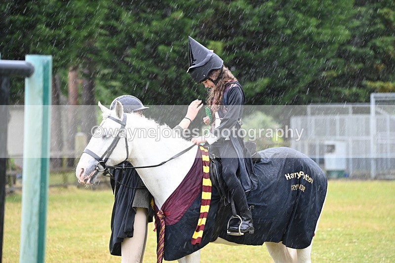 WJ6_9415 - Class 11 Fancy Dress